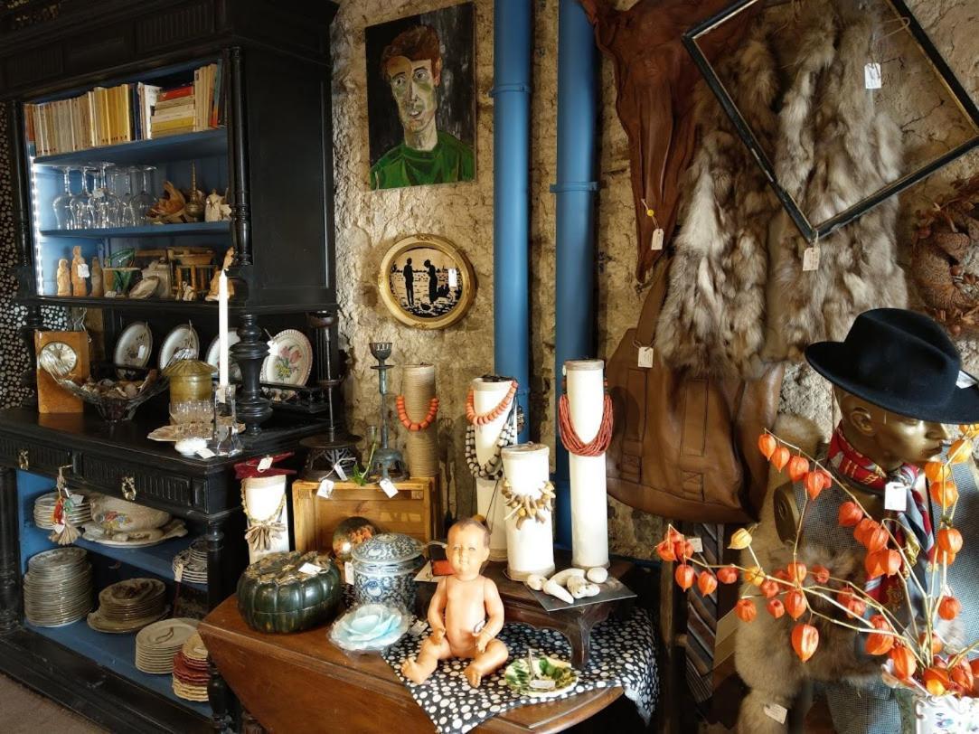Maison d'hôtes les volets verts et sa brocante Ecueille Extérieur photo