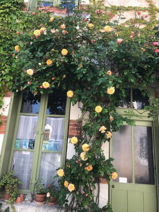 Maison d'hôtes les volets verts et sa brocante Ecueille Extérieur photo
