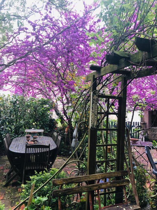 Maison d'hôtes les volets verts et sa brocante Ecueille Extérieur photo