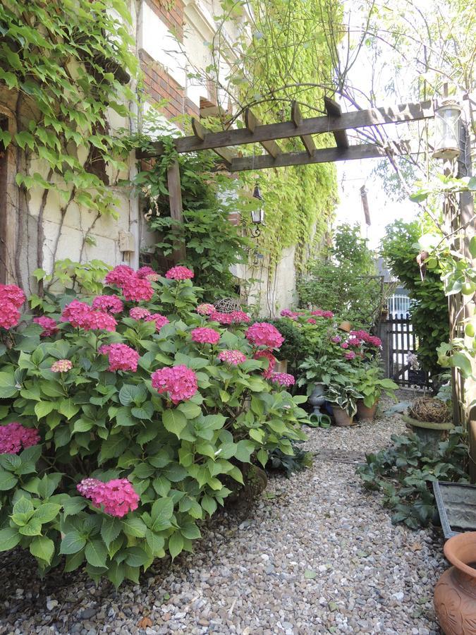 Maison d'hôtes les volets verts et sa brocante Ecueille Extérieur photo